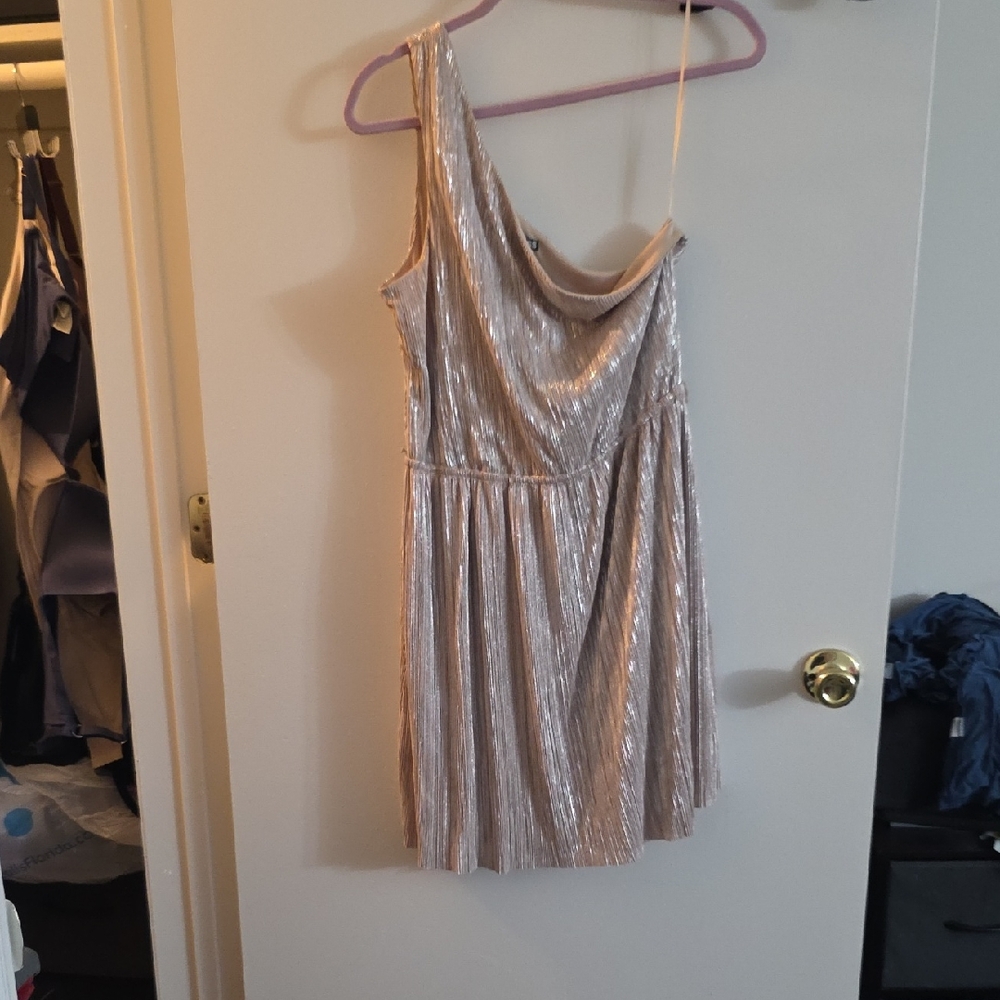 Express Silver and Cream Dress